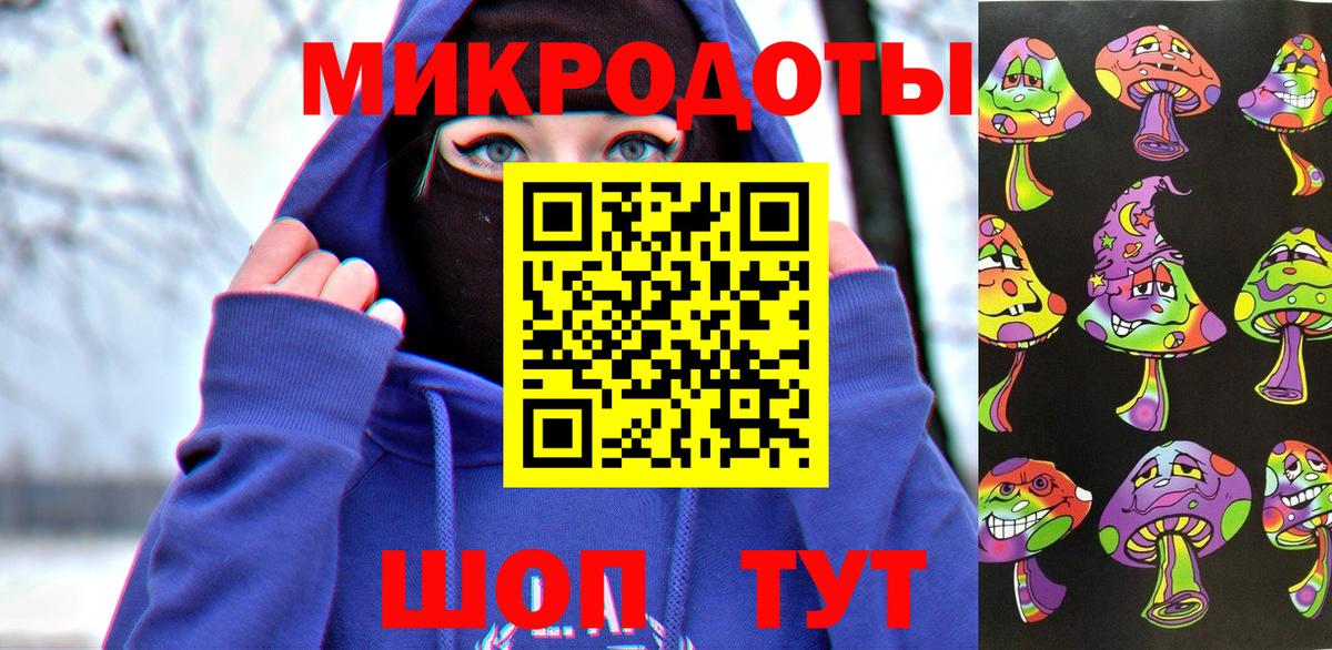 Галлюциногенные грибы Psilocybine cubensis Новоалександровск