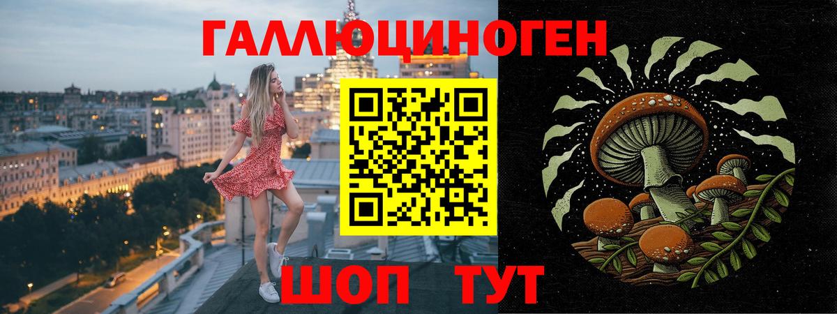 Псилоцибиновые грибы мицелий  Вход с VPN  Новоалександровск 